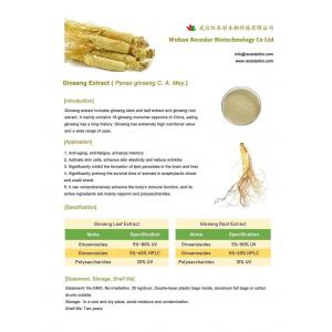 chiết xuất nhân sâm (Ginseng extract)