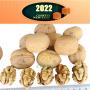 Xin2 Walnut Inshell      New2 walnut    