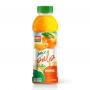 Orange juice with Pulp 450ml Pet from RITA beverage