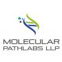 Molecular Pathlabs LLP