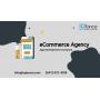 eCommerce Development Company - iQlance