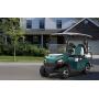 Electric Golf Buggy for Sale