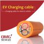New Climate Resistance New Energy Vehicle Charging Cable