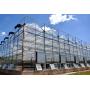 Steel Structure Greenhouse