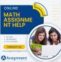 Online Math Assignment Help Services in the USA