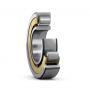 Single Row Cylindrical Roller Bearings NU 1034 ML