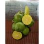 Looking for Vietnamese green seedless lime exporter