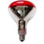 R125 Red Infrared Lamp