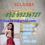 Good quality 5cladba for sale adbb 5cl-adb-a 5cladb