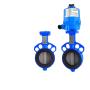 electric two-way butterfly valve –Johnson controls
