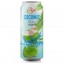 high quality 490ml canned original coconut water