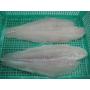 frozen pangasius fillet white meat well trimmed
