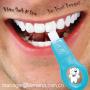 Dental Supply,Teeth Whitening, Wanted Distributor