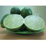 Supplier Fresh Seedless Lime High Quality