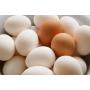 Farm Fresh White and Brown Chicken Table Eggs